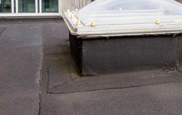 disadvantages of Purls Bridge flat roofs