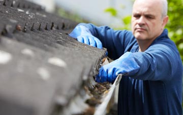 cleaning and inspecting Purls Bridge roofs