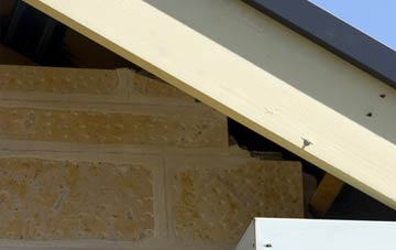 soffit repair Purls Bridge